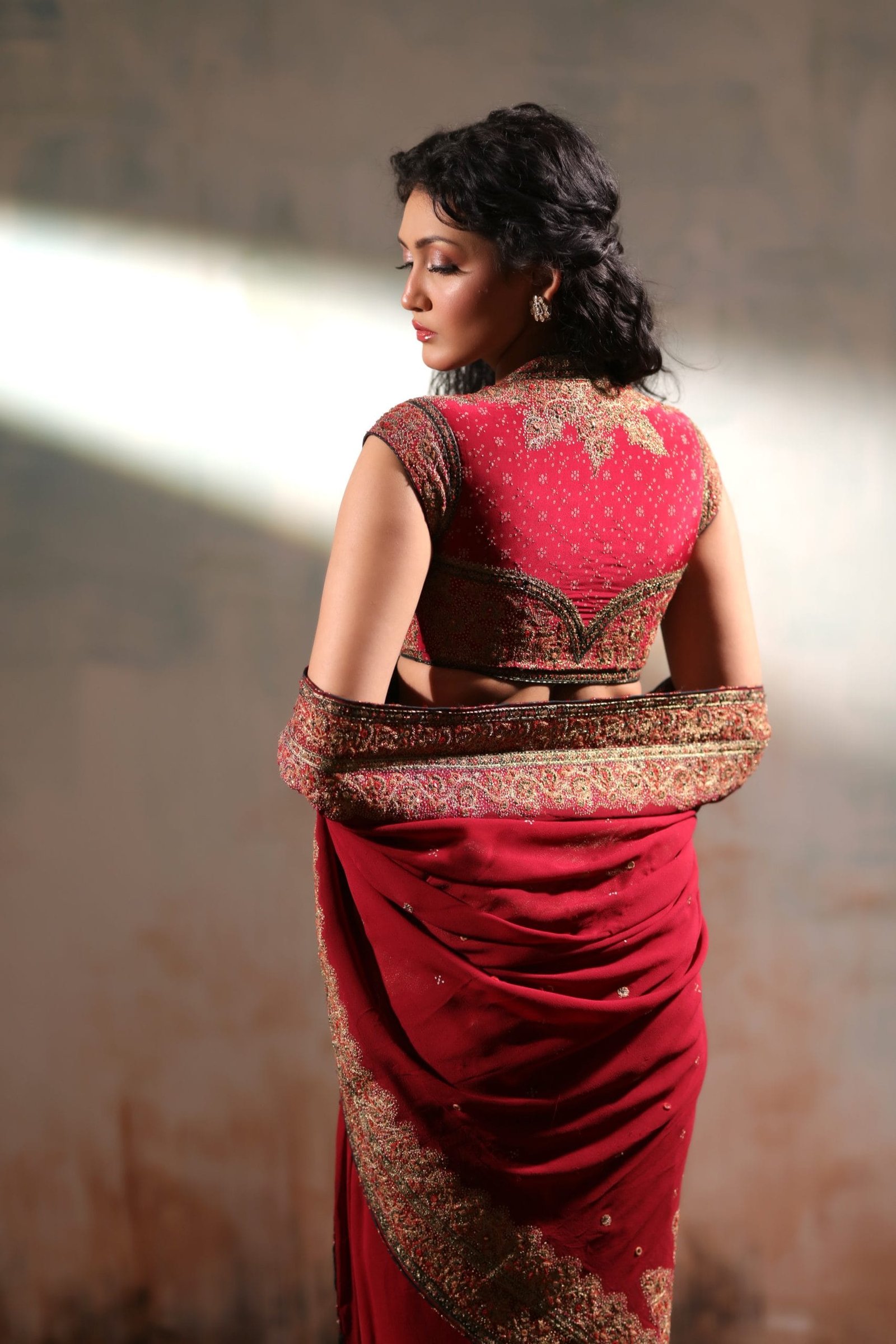 Classic Chiffon Hand Embroidered Mirror and Zardosi Work Saree - Image 6