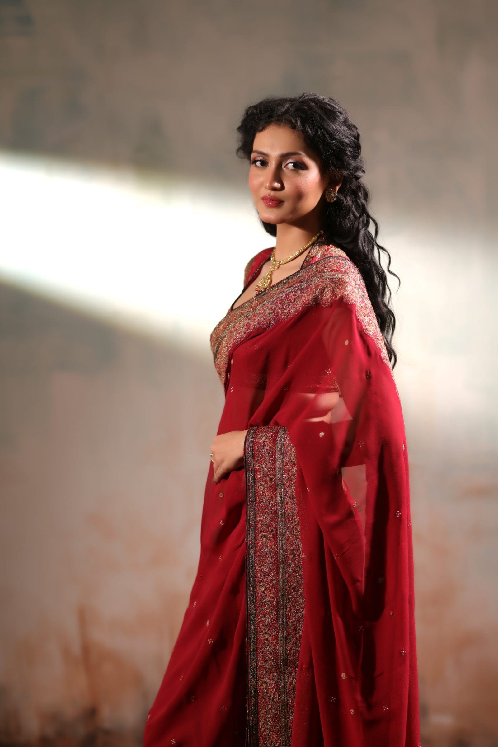Classic Chiffon Hand Embroidered Mirror and Zardosi Work Saree - Image 2