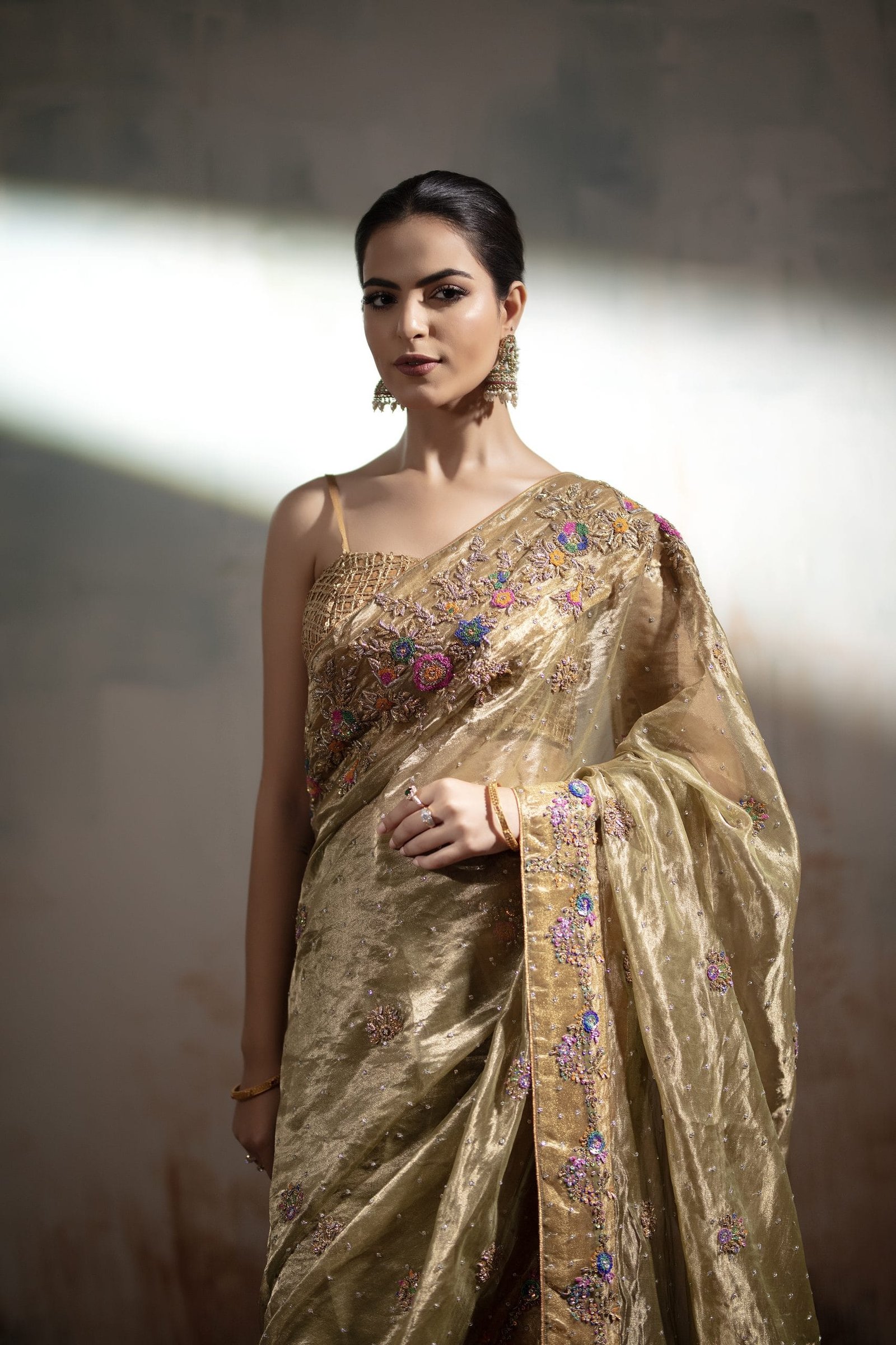 Embellished Tissue Saree
